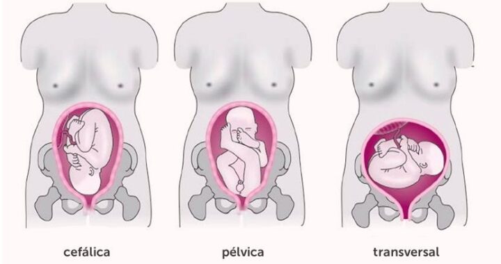 posição fetal bebê