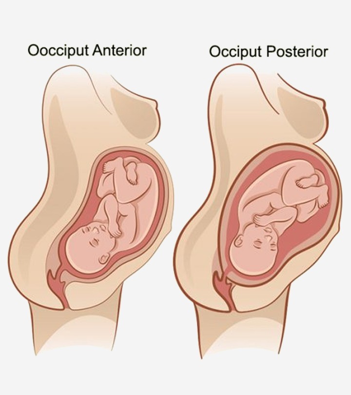 meaning of foetal presentation