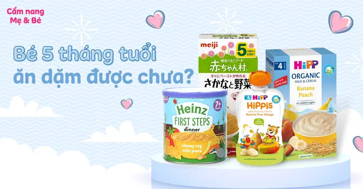 Bé 5 Tháng Ăn Dặm Được Chưa? Dấu Hiệu, Lưu Ý Và Lời Khuyên Từ Chuyên Gia