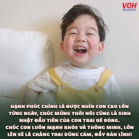 Bài Thơ, Lời Chúc Và Bài Phát Biểu Ý Nghĩa Dành Cho Tiệc Thôi Nôi Bé