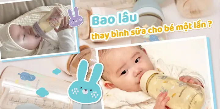 Bao Lâu Nên Thay Bình Sữa Cho Bé Để Đảm Bảo An Toàn & Sức Khỏe?