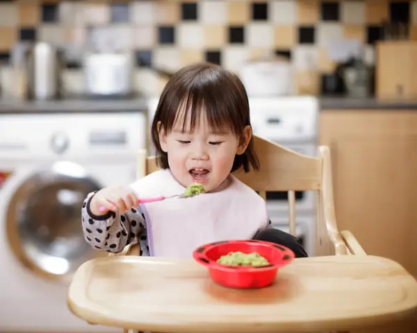 Thực Đơn Món Ăn Cho Bé Tập Ăn Cơm Ngon Miệng, Đủ Dinh Dưỡng Và Dễ Chế Biến