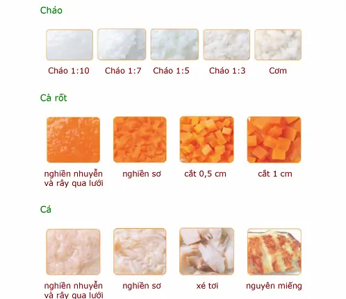 Các Giai Đoạn Ăn Dặm Cho Bé: Hướng Dẫn Chi Tiết Từ Chuyên Gia Các Giai Đoạn Ăn Dặm Cho Bé: Hướng Dẫn Chi Tiết Từ Chuyên Gia