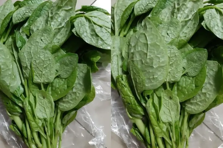 Top Các Loại Rau Tốt Nhất Cho Bé Ăn Dặm Giàu Dinh Dưỡng, Dễ Chế Biến