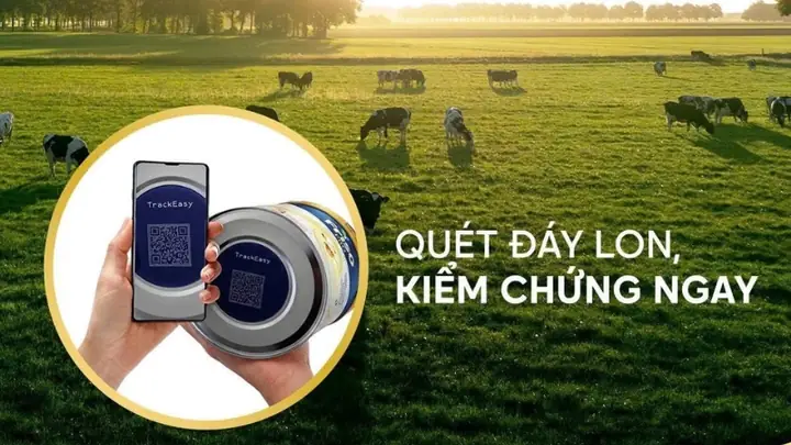 Các Loại Sữa Tốt Nhất Cho Bé Dưới 1 Tuổi: Tiêu Chí Chọn & Top Sản Phẩm
