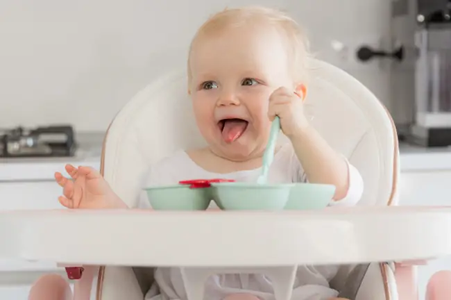 Trẻ 7 Tháng Tuổi Ăn Được Những Loại Thịt Nào Và Cách Chế Biến An Toàn? Trẻ 7 Tháng Tuổi Ăn Được Những Loại Thịt Nào Và Cách Chế Biến An Toàn?