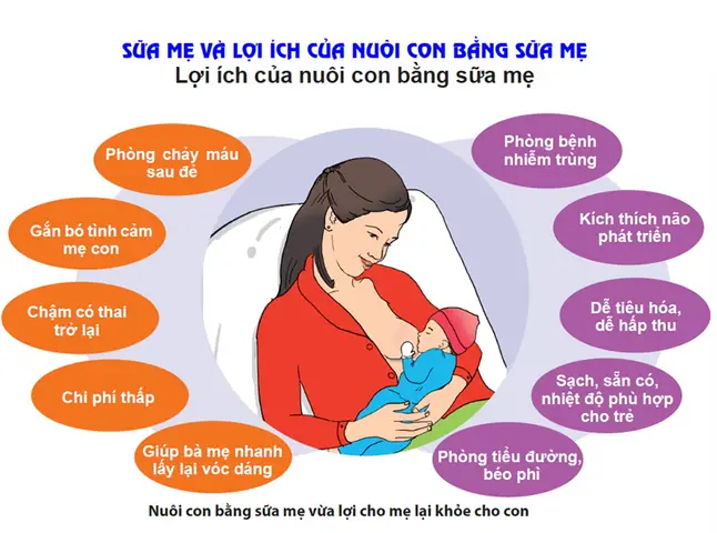 Các Mẹo Cai Sữa Cho Bé Hiệu Quả, Nhanh Chóng Và "không Nước Mắt"