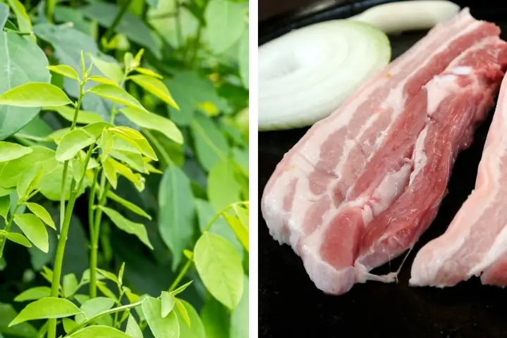 15+ Món Ăn Bổ Máu Cho Bé: Tăng Cường Sắt & Dinh Dưỡng Thiết Yếu 15+ Món Ăn Bổ Máu Cho Bé: Tăng Cường Sắt & Dinh Dưỡng Thiết Yếu