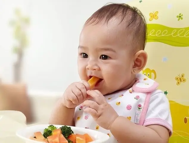 15+ Công Thức Cháo Ăn Dặm Ngon Miệng, Đủ Dưỡng Chất Cho Bé 9 Tháng Tuổi
