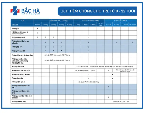 Các Mũi Tiêm Phòng Cho Bé Trên 1 Tuổi: Lịch Trình Chi Tiết & Lưu Ý Quan Trọng