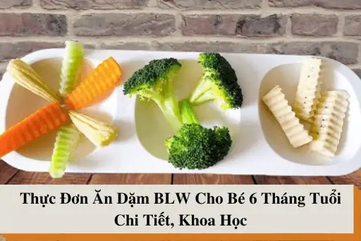 Cách Cho Bé Ăn Dặm Khoa Học: Hướng Dẫn Chi Tiết Từ Chuyên Gia Cách Cho Bé Ăn Dặm Khoa Học: Hướng Dẫn Chi Tiết Từ Chuyên Gia