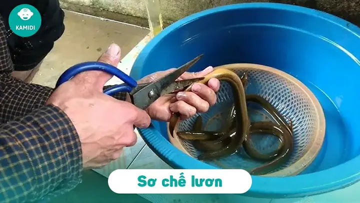 Cách Cho Bé Ăn Dặm Nhanh Tăng Cân Khoa Học & An Toàn