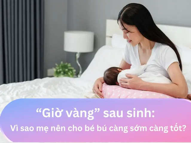Hướng Dẫn Chi Tiết Cách Cho Bé Bú Đúng Giờ, Đúng Cữ Cho Mẹ
