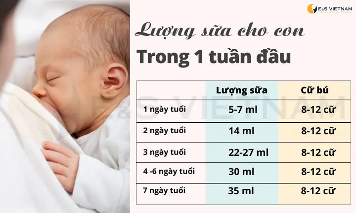 Hướng Dẫn Cách Cho Bé Sơ Sinh Uống Sữa Đúng Cách, An Toàn & Đủ Chất