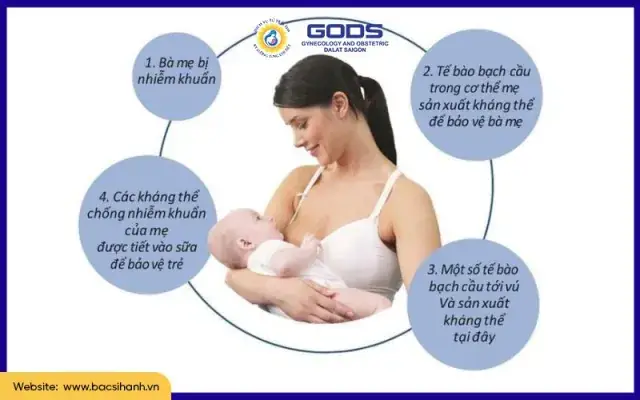 Hướng Dẫn Chi Tiết Cách Cho Em Bé Bú Sữa Mẹ Đúng Cách Để Sữa Về Nhiều Hướng Dẫn Chi Tiết Cách Cho Em Bé Bú Sữa Mẹ Đúng Cách Để Sữa Về Nhiều