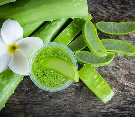 Cách Chữa Bỏng Bô Xe Máy Cho Bé: Hướng Dẫn Sơ Cứu Và Chăm Sóc Nhanh Lành