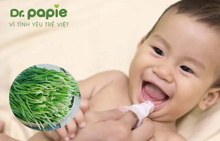 Cách Chữa Lưỡi Trắng Cho Bé An Toàn & Hiệu Quả Theo Y Khoa & Dân Gian Cách Chữa Lưỡi Trắng Cho Bé An Toàn & Hiệu Quả Theo Y Khoa & Dân Gian