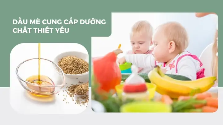 Cách Dùng Dầu Mè Cho Bé Ăn Dặm Đúng Cách, An Toàn Và Hiệu Quả Cách Dùng Dầu Mè Cho Bé Ăn Dặm Đúng Cách, An Toàn Và Hiệu Quả