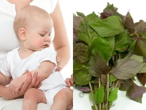 Cách Hạ Sốt Cho Bé Sơ Sinh An Toàn & Hiệu Quả Tại Nhà Theo Khuyến Cáo Chuyên Gia