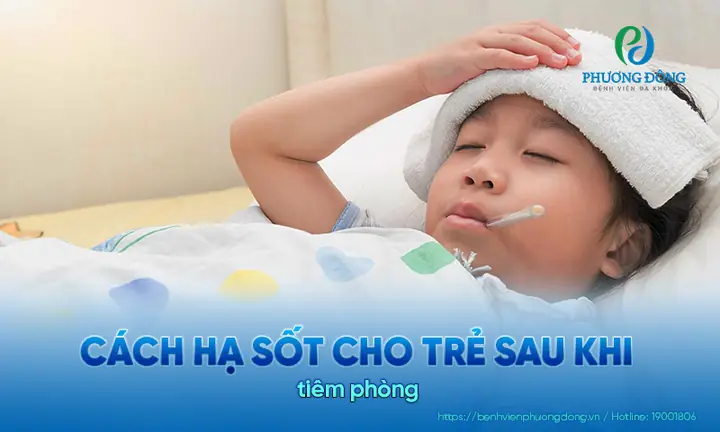 9+ Cách Hạ Sốt Cho Em Bé Tại Nhà An Toàn, Hiệu Quả & Dấu Hiệu Cần Đi Gặp Bác Sĩ