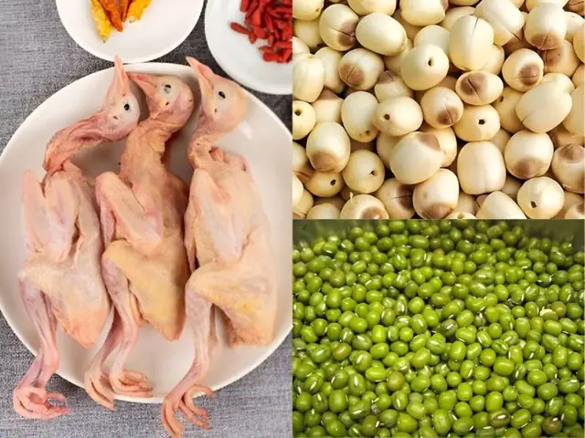 Hướng Dẫn Cách Hầm Chim Bồ Câu Ngon, Bổ Dưỡng Cho Bé Ăn Dặm