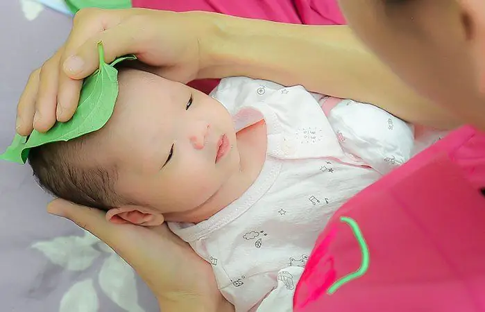 Hướng Dẫn Chi Tiết Cách Hơ Lá Trầu Cho Em Bé Sơ Sinh An Toàn & Hiệu Quả Hướng Dẫn Chi Tiết Cách Hơ Lá Trầu Cho Em Bé Sơ Sinh An Toàn & Hiệu Quả