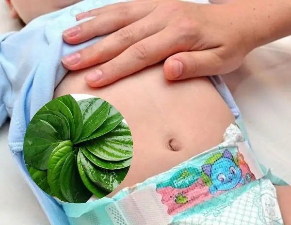 Hướng Dẫn Chi Tiết Cách Hơ Lá Trầu Cho Em Bé Sơ Sinh An Toàn & Hiệu Quả Hướng Dẫn Chi Tiết Cách Hơ Lá Trầu Cho Em Bé Sơ Sinh An Toàn & Hiệu Quả