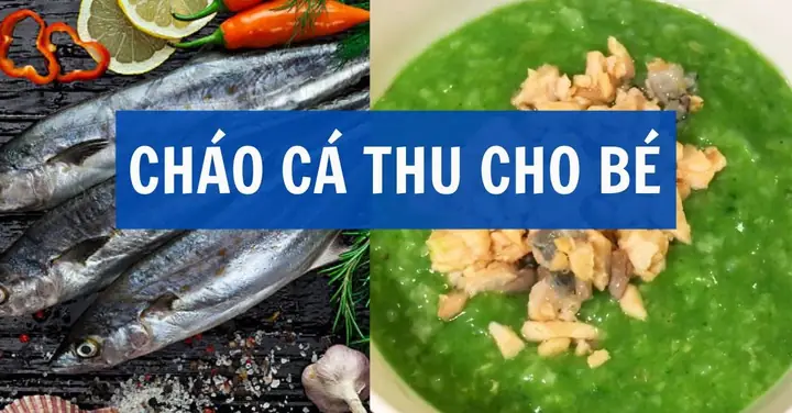 Cách Làm Cháo Cá Thu Cho Bé Ăn Dặm Thơm Ngon, Đủ Dinh Dưỡng Cách Làm Cháo Cá Thu Cho Bé Ăn Dặm Thơm Ngon, Đủ Dinh Dưỡng