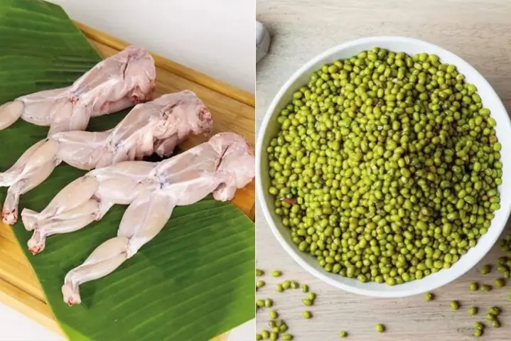 10+ Cách Nấu Cháo Ếch Cho Bé Ăn Dặm Thơm Ngon, Đủ Chất, Không Tanh 10+ Cách Nấu Cháo Ếch Cho Bé Ăn Dặm Thơm Ngon, Đủ Chất, Không Tanh