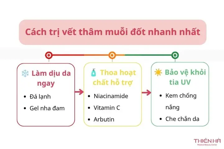 12 Cách Làm Mờ Vết Thâm Muỗi Đốt Cho Bé An Toàn Và Hiệu Quả Tại Nhà