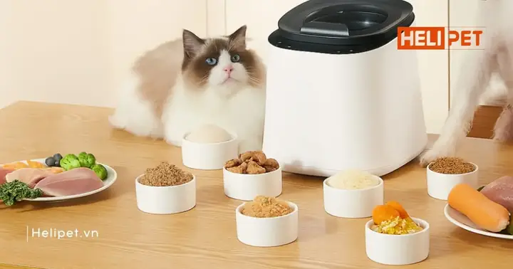 Cách Làm Pate Thịt Heo Cho Bé Chuẩn Vị, Dinh Dưỡng, An Toàn Tuyệt Đối Cách Làm Pate Thịt Heo Cho Bé Chuẩn Vị, Dinh Dưỡng, An Toàn Tuyệt Đối