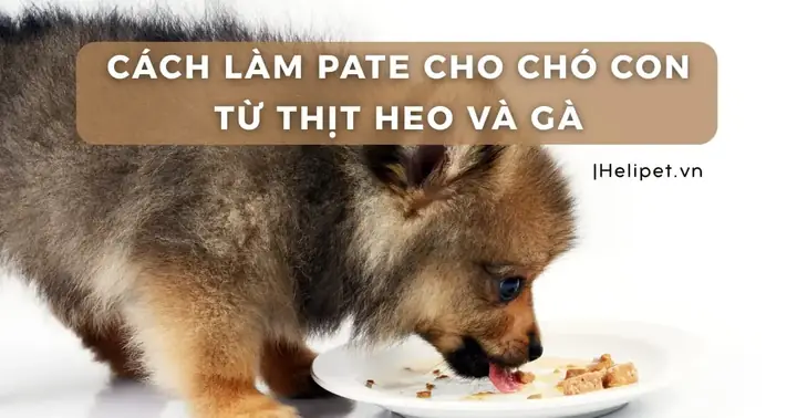 Cách Làm Pate Thịt Heo Cho Bé Chuẩn Vị, Dinh Dưỡng, An Toàn Tuyệt Đối Cách Làm Pate Thịt Heo Cho Bé Chuẩn Vị, Dinh Dưỡng, An Toàn Tuyệt Đối