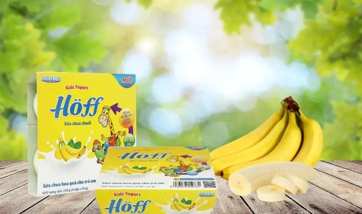Cách Làm Sữa Chua Cho Bé 8 Tháng Tuổi Tại Nhà Đơn Giản, An Toàn