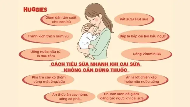 Cách Làm Sữa Chua Từ Sữa Mẹ Cho Bé: Công Thức Đơn Giản & Lợi Ích Bổ Dưỡng Cách Làm Sữa Chua Từ Sữa Mẹ Cho Bé: Công Thức Đơn Giản & Lợi Ích Bổ Dưỡng