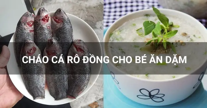 Cách Nấu Cháo Cá Rô Phi Cho Bé Ăn Dặm Thơm Ngon, Không Tanh Cách Nấu Cháo Cá Rô Phi Cho Bé Ăn Dặm Thơm Ngon, Không Tanh