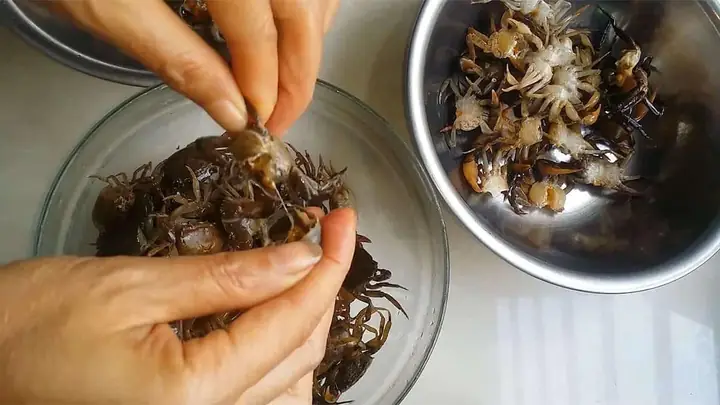 Cách Nấu Cháo Cua Cho Bé Không Bị Tanh: Bí Quyết Chuẩn Từ Chuyên Gia