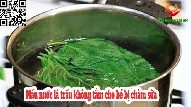 Cách Nấu Lá Trầu Không Tắm Cho Bé An Toàn Và Hiệu Quả Nhất