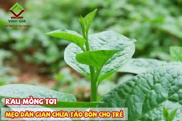 10+ Cách Trị Táo Bón Cho Em Bé Hiệu Quả Tại Nhà Đúng Cách