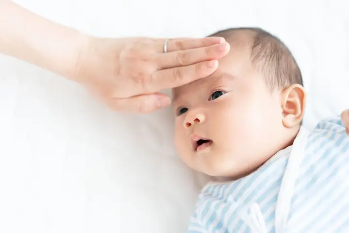 Mẹ Uống Tía Tô Trước Khi Tiêm Phòng Cho Bé: Có Hiệu Quả Giảm Tác Dụng Phụ Không? Mẹ Uống Tía Tô Trước Khi Tiêm Phòng Cho Bé: Có Hiệu Quả Giảm Tác Dụng Phụ Không?