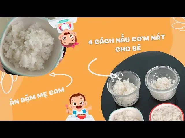 Cách Xay Cơm Nát Cho Bé Chuẩn “ăn Dặm” & Thực Đơn Dinh Dưỡng
