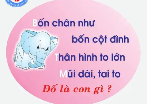 300+ Câu Đố Vui Cho Bé Mầm Non Phát Triển Tư Duy Toàn Diện (có Đáp Án)