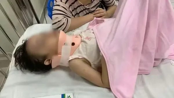Cầu Trượt Cho Bé Tại Hà Nội: Địa Chỉ Mua Sắm & Kinh Nghiệm Chọn Lựa