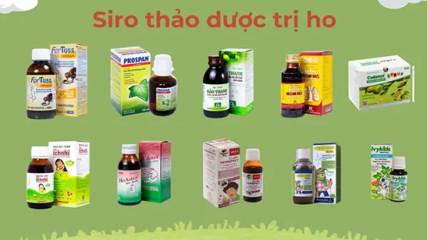 Top 10 Cây Và Lá Trị Ho Cho Bé An Toàn, Hiệu Quả Tại Nhà