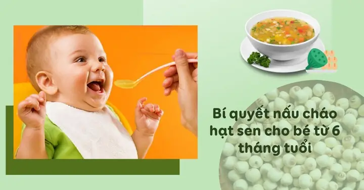 Hướng Dẫn Chi Tiết Cách Nấu Cháo Hạt Sen Cho Bé 8 Tháng Tuổi Thơm Ngon, Bổ Dưỡng