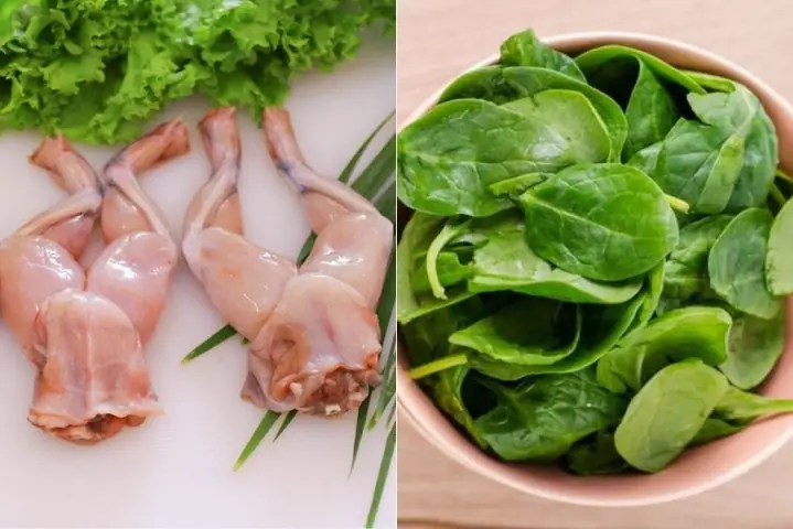 15+ Cách Nấu Cháo Ếch Cho Bé Ăn Dặm Thơm Ngon, Đảm Bảo Dinh Dưỡng 15+ Cách Nấu Cháo Ếch Cho Bé Ăn Dặm Thơm Ngon, Đảm Bảo Dinh Dưỡng