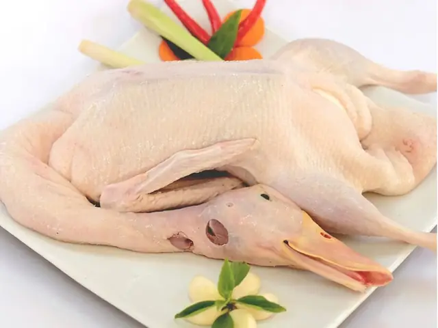 Hướng Dẫn Chi Tiết Cách Nấu Cháo Thịt Ngan Cho Bé Ăn Dặm Bổ Dưỡng