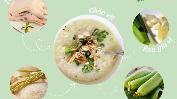 Hướng Dẫn Chi Tiết Cách Nấu Cháo Thịt Vịt Cho Bé Ăn Dặm Thơm Ngon, Bổ Dưỡng