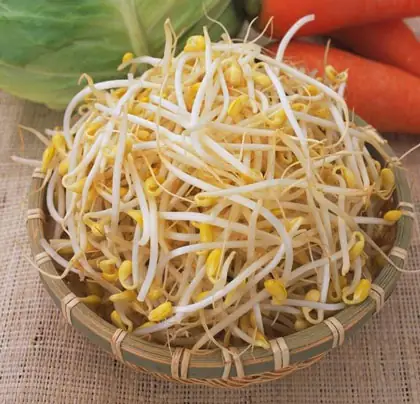 Cháo Tôm Giá Đỗ Cho Bé Ăn Dặm: Công Thức Chuẩn, Lợi Ích Bổ Dưỡng