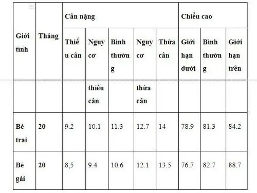 Chế Độ Ăn Cho Bé 20 Tháng Tuổi: Đủ Chất, Kích Thích Phát Triển Toàn Diện