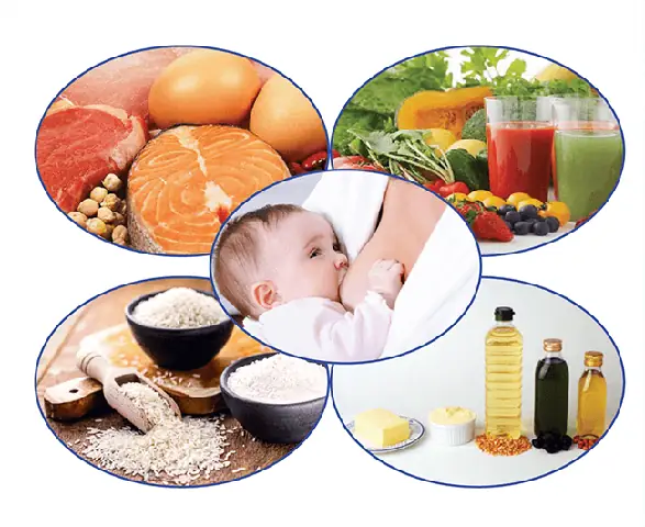 Chế Độ Ăn Uống Cho Bé 6 Tháng Tuổi Chuẩn Khoa Học: Thực Đơn & Lưu Ý Quan Trọng